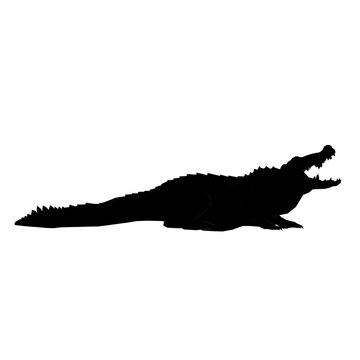 Silhouette di coccodrillo alligatore caimano con fauci aperte