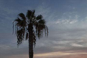 Sunset at Chinchorro beach, with the red sun slowly going down
