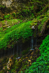 白骨温泉　竜神の滝