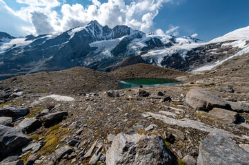 
Grossglockner mountain in autumn with lake rocks and yellow flowers in the foreground
in the Austrian Alps in the Hohe Tauern mountains