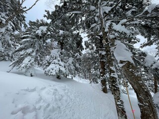 2023年2月の福島県裏磐梯のグランデコスノーリゾート