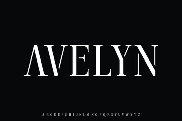 Abstract elegant serif display font vector