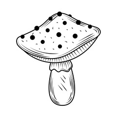 mushroom isolated icon