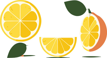 lemons vector for illustrations, 2d minimalist