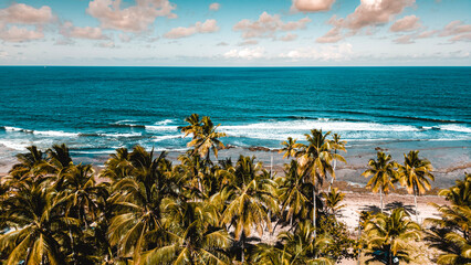 Paraíso Tropical Praia Península Marau Barra Grande Vilarejo Ponta Muta Bahia Natureza Paisagem...