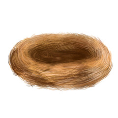 Bird's nest of hay and twigs