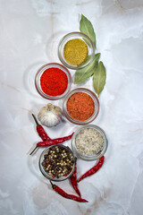 Various spices on a light background. Set of traditional spices