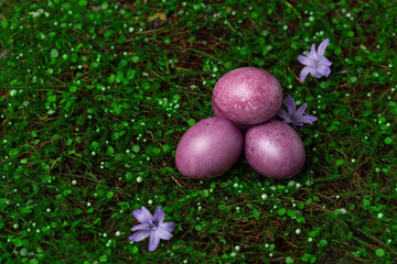 Purple Easter eggs on green grass