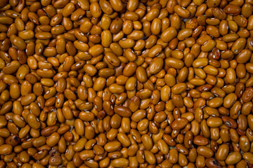Bean beans full screen as background for image