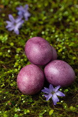 Purple Easter eggs on green grass