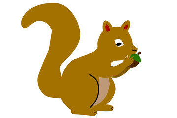 Cute squirrel on a white background. Vector illustration.