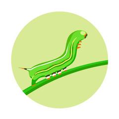 Green caterpillar crawling on a leaf. Butterfly larva. Insect pest. Striped color. Animals and wildlife. Vector cartoon illustration closeup