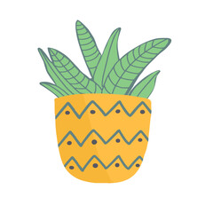 Vector hand drawn house plant in pot. Doodle style, isolated on white background.