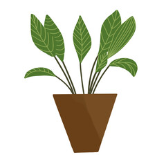 Vector hand drawn house plant in pot. Doodle style, isolated on white background.