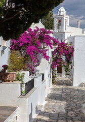Fototapeta na wymiar Tinos island Greece. Cycladic architecture at Pyrgos village. Paved alley, pink bougainvillea