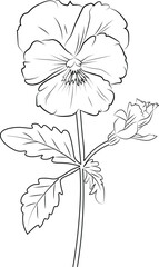 Pansy flower drawing, vector sketch hand drew illustration artistic, simplicity, coloring pages, printable pansy flower coloring pages, flower coloring sheet, isolated on white background.