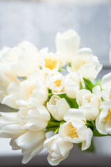 Fototapeta na wymiar White tulips on white blurred background, congratulations. 