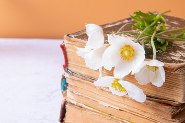 Anemones flower bouquet and vintage books. Spring, Mother's Day still life composition