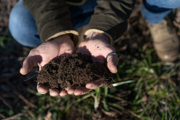 A man's hands gently cradle a patch of soil where a cluster of vibrant green plants are sprouting in a lush garden on a sunny afternoon