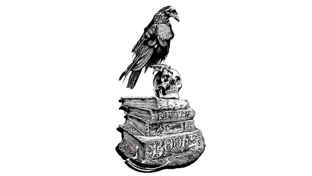 The crow above the head of the skull stomps between the books Animation and Ilustration hand drawing 