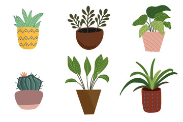 Vector hand drawn set of house plants in pots. Doodle style, isolated on white background.