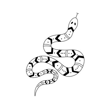 Vector isolated one single crawling ornate snake top view colorless black and white contour line easy drawing