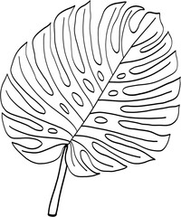 Simplicity monstera leaf freehand drawing