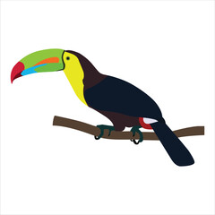 A beautiful black bird vector art work. 