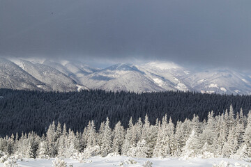 snow covered mountains