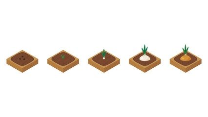 農場ゲームのイラスト_成長する玉ねぎ_アイソメトリック