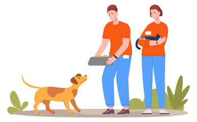 Volunteers feeding homeless pets. People caring about animals