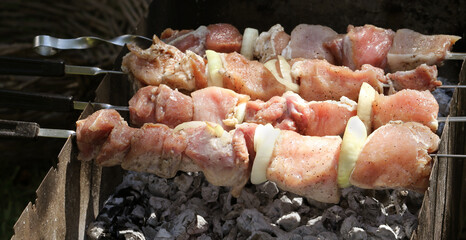 Summer holidays Fresh and juicy pieces of meat for shish kebab are fried on wood-fired grill....