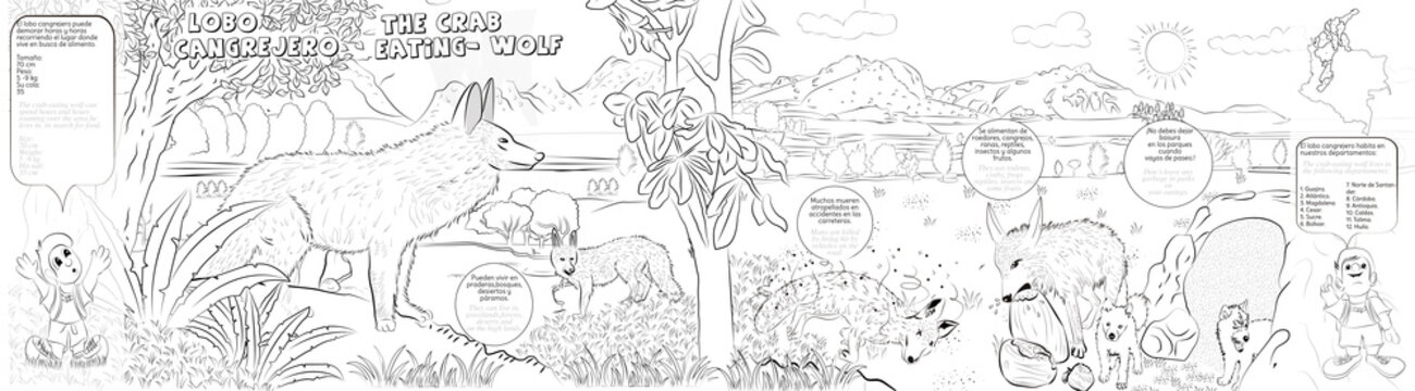 Lobo cangrejero, cuento creado en colombia 
