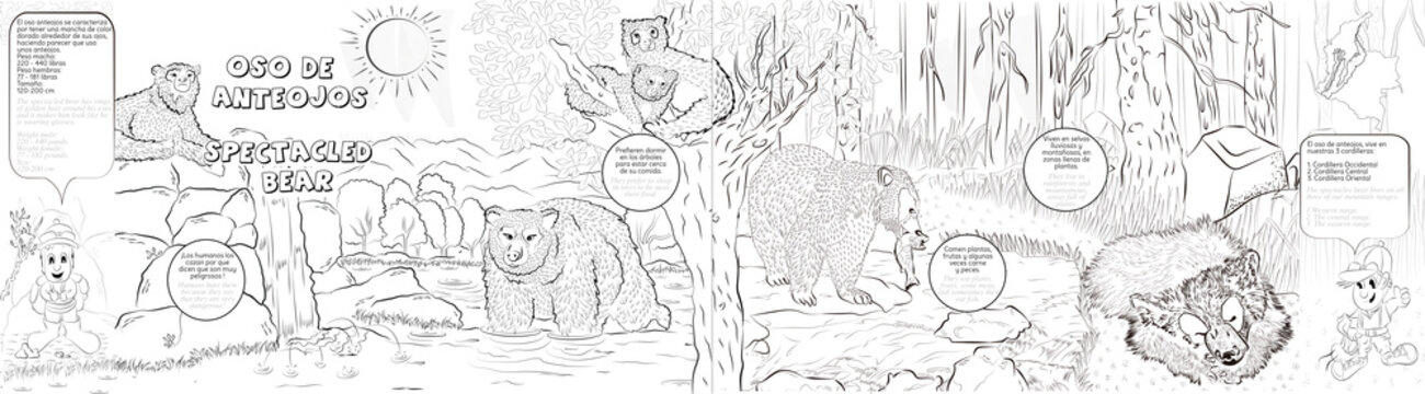 Oso de anteojos , cuento creado en colombia 