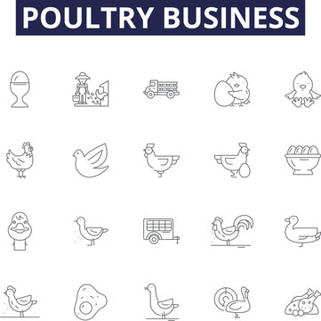 Poultry business line vector icons and signs. Business, Eggs, Farms, Chickens, Broilers, Ducks, Hens, Turkeys outline vector illustration set