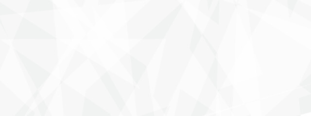 Abstract modern white and grey geometric triangle lines vector backgrounds. Design use for poster, template, wallpaper background.