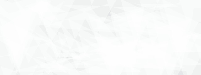 Abstract modern white and grey geometric triangle lines vector backgrounds. Design use for poster, template, wallpaper background.