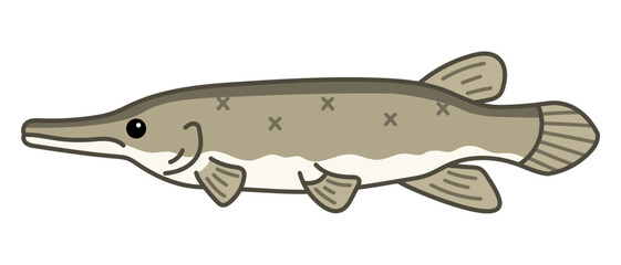 アリゲーターガー