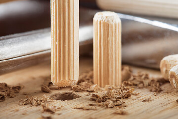 Two wooden dowel for fastening oak plank. Timber industry.
