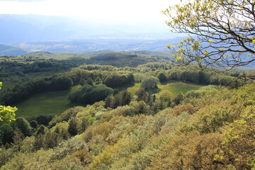 Casentino Forests landscape with trees, patches of green meadows and the misty valley on the background on a cloudy day. Horizontal, high angle view.
