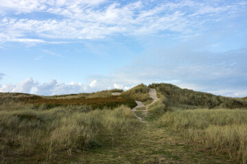 Obraz premium Strandweg in Dünenlandschaft an der dänischen Nodrsee bei Skagen