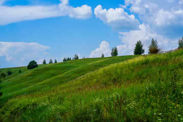 Summer sunny green hills under a blue sky.