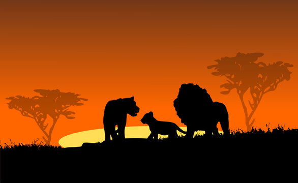 Löwenfamilie in afrikanischer Landschaft beim Sonnenuntergang - Safari