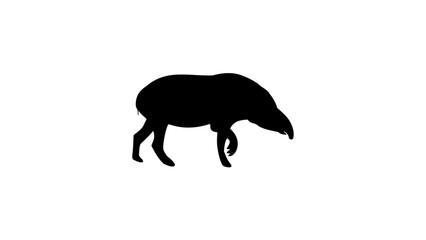 Tapir silhouette