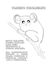 Tarsero colombiano mono, dibujo 