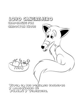 Lobo cangrejero dibujo 