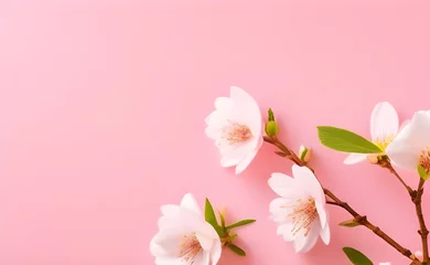 Foto op Canvas cherry blossom on pink background, Generative AI © Rafael