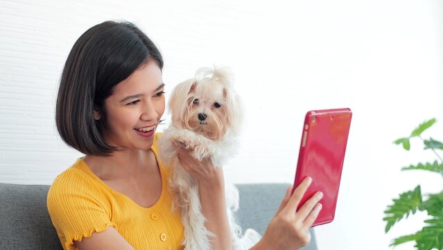 Happy young Asian woman holding tablet and taking photo with pet puppy cute dog on sofa at living room