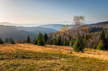 Piękna sceneria w okolicach szczytu Beskidek w Koszarawie.