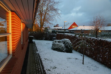 winter morning in the garden